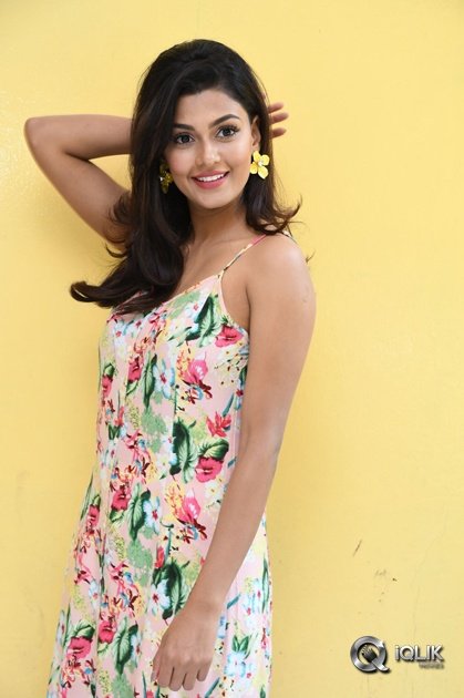 Anisha-Ambrose-At-Fashion-Designer-Movie-Success-Meet